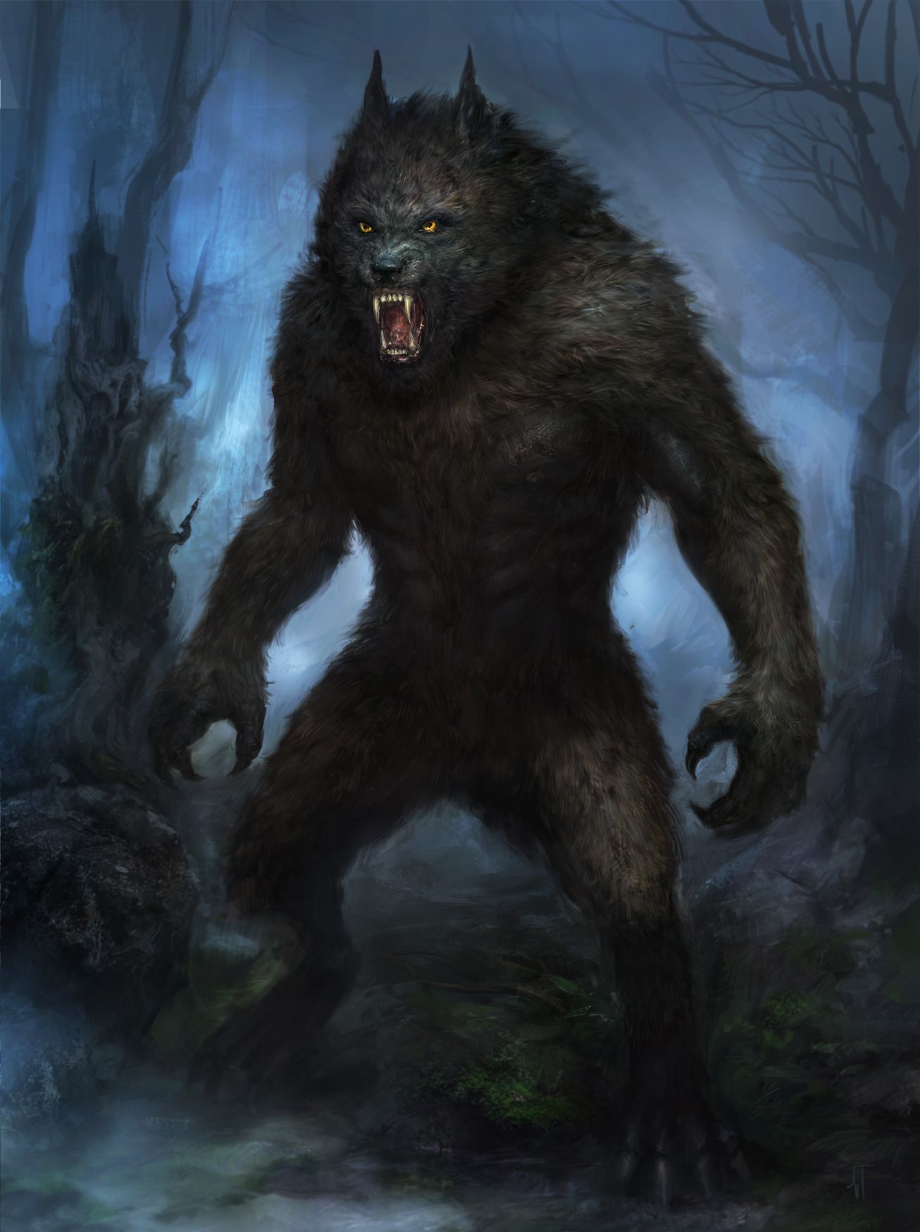 Wolfs